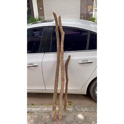 Thân cây giả - làm bằng gỗ - Size từ 80cm đến 200cm - Cây giả, hoa lụa trang trí nhà cửa