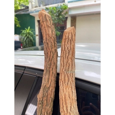 Thân cây giả - làm bằng gỗ - Size từ 80cm đến 200cm - Cây giả, hoa lụa trang trí nhà cửa