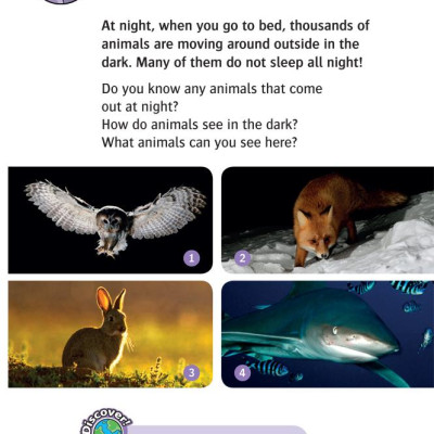 Oxford Read and Discover 4 Animals at Night
