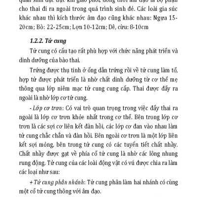 Nông Nghiệp Xanh, Sạch - Nâng Cao Khả Năng Sinh Sản Cho Đàn Gia Súc