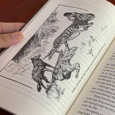 CHUYỆN RỪNG XANH (Bìa mềm)