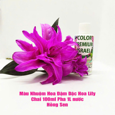 Thuốc Nước Nhuộm Hoa Lily  (chai đậm đặc 100ml pha 1L nước màu hoàn chỉnh) công nghệ Israel nhuộm hoa lily cánh mỏng mà không bị cháy lá hoa