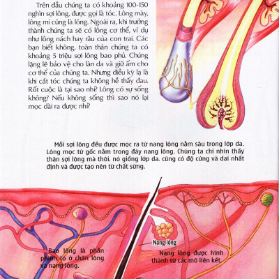 Thế Giới Những Điều Chưa Biết (Tập 5) - Cơ Thể Người