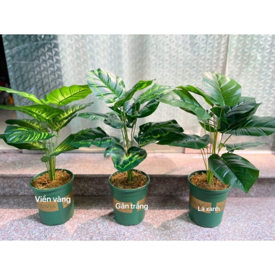 Cây trầu bà giả - 12 lá - cao 60cm - Cây giả, hoa lụa trang trí nhà cửa