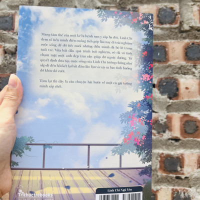 Linh Chi Ngủ Yên - Đại Bông