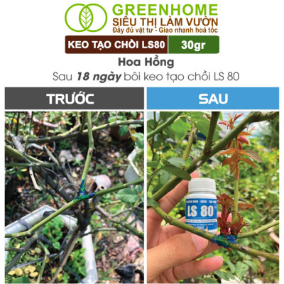 Keo Tạo Chồi LS80, Greenhome, Hũ 30gr, Tạo Mầm Tại Vị Trí Bất Kỳ, Có Chọn Lọc, Không Suy Cây, Đen Chồi
