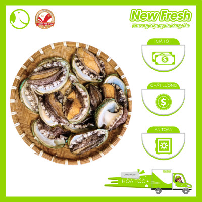 Bào Ngư Hàn Quốc Đông Lạnh - Túi 1Kg (8-10 con)