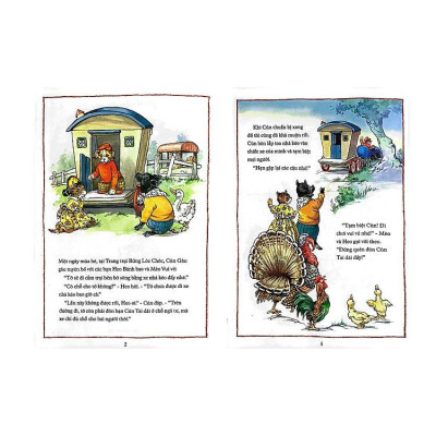 Ươm mầm ước mơ - Tình bạn dưới tán rừng