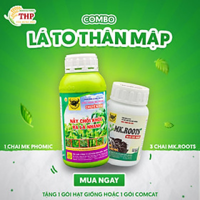 [MUA 1 TẶNG 1] COMBO LÁ TO THÂN MẬP | CHUYÊN RAU ĂN LÁ | COMBO CHĂM SÓC CÂY