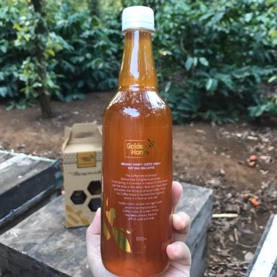  Mật ong Golden honey hỗ trợ tăng sức đề kháng, giảm ho, viên họng, dưỡng ẩm da và môi cang bóng mịn màng, dùng nấu ăn - QuaTangMe Extaste