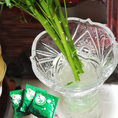  (COMBO 30 GÓI) GÓI DƯỠNG HOA TƯƠI LONGLIFE CỦA ISRAEL GIỮ HOA TƯƠI LÂU GẤP 2 LẦN VÀ 14 NGÀY KHÔNG THAY NƯỚC MỚI