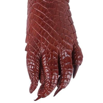 Móc khóa da cá sấu nguyên con màu đen, nâu đất, nâu đỏ, vàng bò HT8271-72-73-74