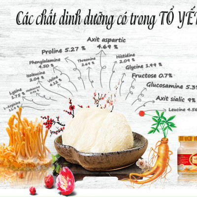 Combo 6 hộp nước yến sào win