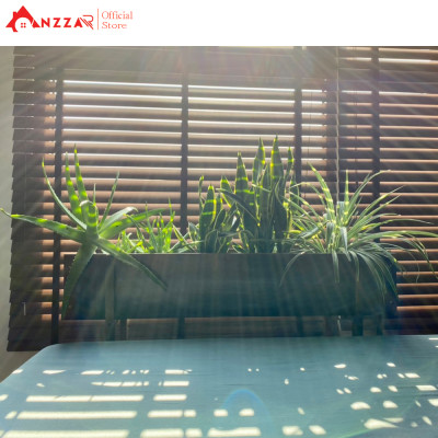 Chậu gỗ trồng cây, hoa, kệ trồng cây ban công-01