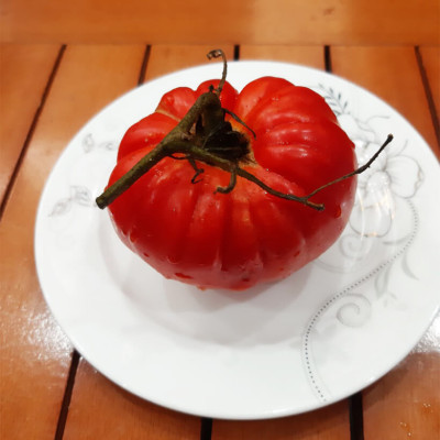 Hạt Giống Cà Chua Không Hạt Hữu Cơ Nhập Khẩu Minigarden (Túi từ 125 Hạt đến 250 hạt) Với Tỷ lệ nảy mầm cao, ít hạt lép