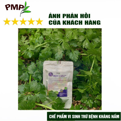 Combo chế phẩm vi sinh trừ bệnh, trừ sâu PMP cho rau sạch, hoa, cây cảnh (Biomic & Killpa)