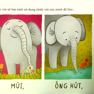 Voi Học Gì Ở Trường Thế Nhỉ?