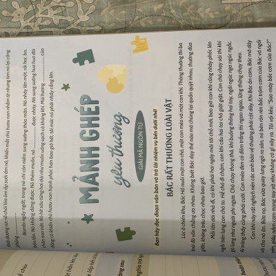 Sách - Chinh phục tiếng việt 4 ( dùng chung cho 3 bộ sgk hiện hành ) (dương hằng)