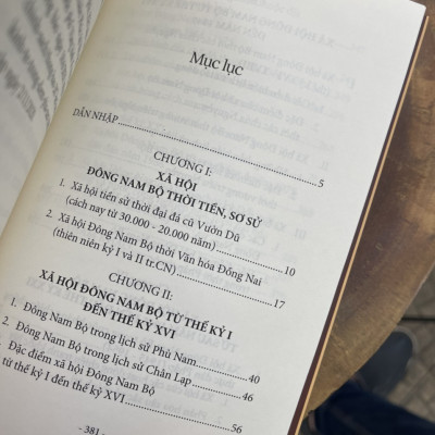 XÃ HỘI ĐÔNG NAM BỘ từ khởi thuỷ đến đầu thế kỷ XXI - Huỳnh Ngọc Đáng – Nxb Tổng hợp Tp Hồ Chí Minh (bìa mềm)