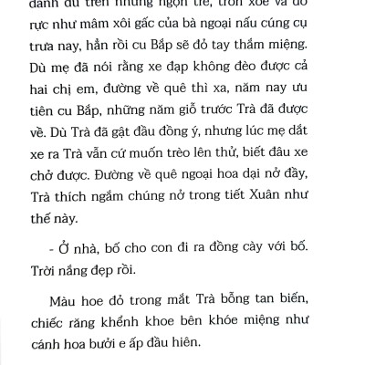 Mùa Hoa Lưng Chừng Gió