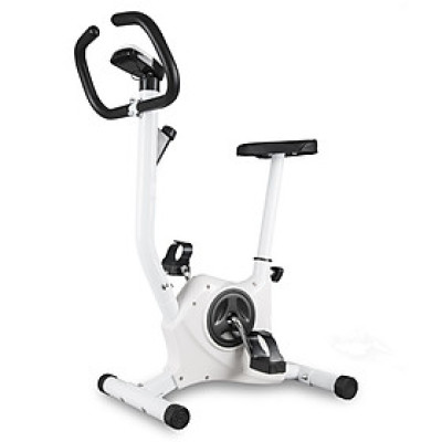 Bg Xe đạp tập thể dục trong nhà Mẫu YS02 WHITE (hàng nhập khẩu)