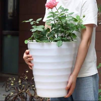 Chậu trồng cây vòng tròn bằng nhựa ABS bóng cao cấp  KT ( M32XC35CM )