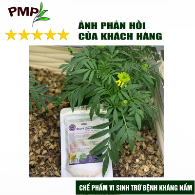 Combo chế phẩm vi sinh trừ bệnh, trừ sâu PMP cho rau sạch, hoa, cây cảnh (Biomic & Killpa)