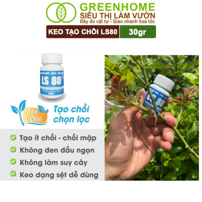 Keo Tạo Chồi LS80, Greenhome, Hũ 30gr, Tạo Mầm Tại Vị Trí Bất Kỳ, Có Chọn Lọc, Không Suy Cây, Đen Chồi