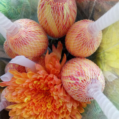 Nước Màu Nhuộm Hoa Tươi Màu Cam Israel (Chai 1 Lít) Color Sodium For Fresh Flowers