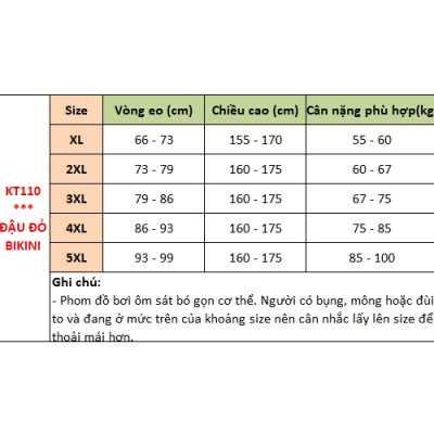 Đồ bơi bigsize nữ, áo tắm cộc tay cùng quần boxer cho người béo mập, mẫu thể thao khỏe khoắn, chất đẹp phom đẹp | KT110
