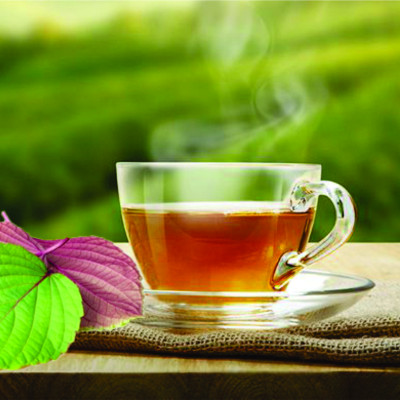 Trà tía tô túi lọc Ftaky - Giải cảm, giảm ho