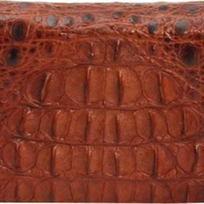 Ví Nữ Huy Hoàng HT3206 (10.5 x 19 cm) - Nâu Đỏ