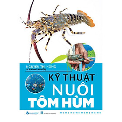 Kỹ Thuật Nuôi Tôm Hùm