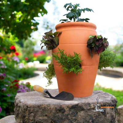 Chậu Gốm Đất Nung Nhiều Túi - Thiết Kế Độc Đáo Cho Cây Sen Đá, Xương Rồng, Dâu Tây - Strawberry Pot Trang Trí Sân Vườn