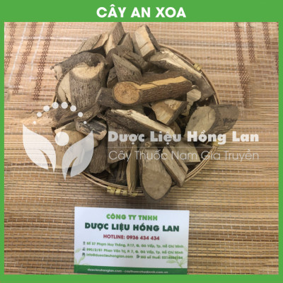  1kg Cây An Xoa Tím khô