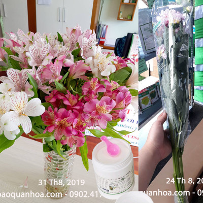 Thuốc cắm hoa lâu tàn Longlife SG nhập khẩu Israel (dạng bột Hủ 1 KG pha 100 L nước) giúp hoa cắm xốp tại Shop Hoa Florist tươi gấp 2 lần và hạn chế thay hoa định kỳ