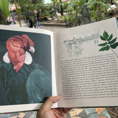 (Combo 2 cuốn -bìa cứng, in màu toàn bộ) ALEXANDER VON HUMBOLDT - Khao khát khám phá những vùng đất lạ  và MARCO POLO DU HÀNH VỀ PHƯƠNG ĐÔNG - Anke Dörrzapf & Volker Mehnert - Đào Minh Khánh & Nguyễn Lan Phương dịch – Thái Hà - NXB Hà Nội