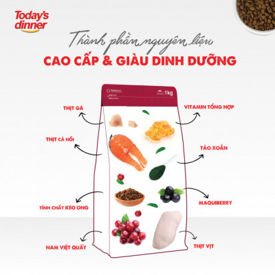[1KG ] - Thức ăn hạt cho mèo nhỏ TODAY