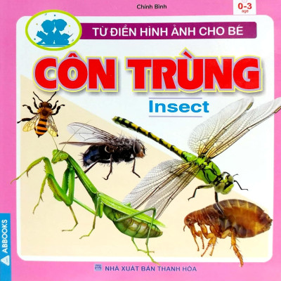 Từ Điển Hình Ảnh Cho Bé - Côn Trùng