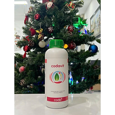 Codavit - Ngăn ngừa bệnh xì mủ (phytophthora) trên cây trồng