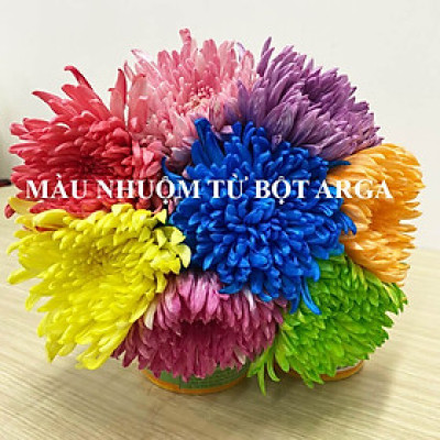 Thuốc Bột Nhuộm Hoa Tươi  màu thực phẩm Ấn Độ (Combo 3 hộp tùy màu) giúp đổi màu hoa cắt cành (1 hủ pha 12L nước màu)