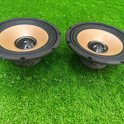 CỦ LOA BASS RỜI 20 COIL 38 TỪ 100 GÂN VẢI HÀNG CHÍNH HÃNG HẢI TRIỀU ( GIÁ 1 CÁI)