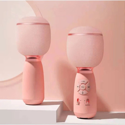 Micro Karaoke kèm loa Bluetooth - Hàng chính hãng