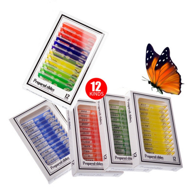 Bộ 12 tiểu bản mẫu vật của động thực vật dùng trên kính hiển vi - Hàng Chính Hãng