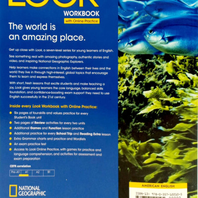 Look 3: Workbook With Online Practice