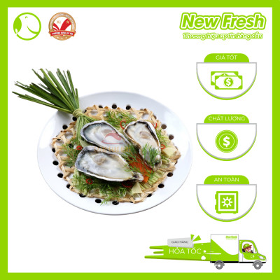 [GIAO NHANH HCM] Hàu Nhật - Túi 1Kg (9-11 con)