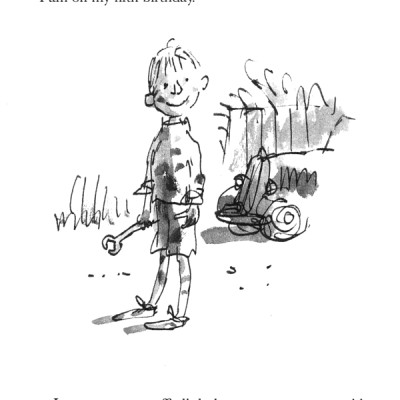 Danny the Champion of the World