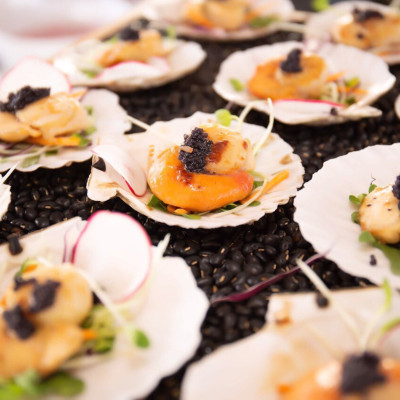 Sò điệp nữa mảnh ( size : 15-20  con)- 1 kg