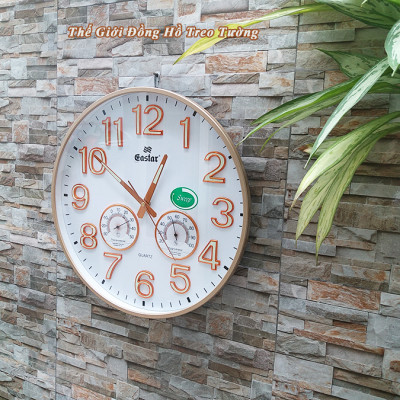 Đồng Hồ EASTAR Mặt Tròn có DẠ QUANG và Đồng hồ CƠ Đo NHIỆT ĐỘ & ĐỘ ẨM - Máy KIM TRÔI - Tặng Pin Maxell