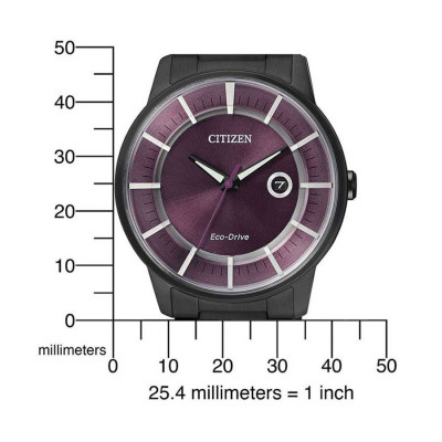 Đồng Hồ Nam Citizen Dây Thép Không Gỉ AW1264-59W - Mặt Tím 